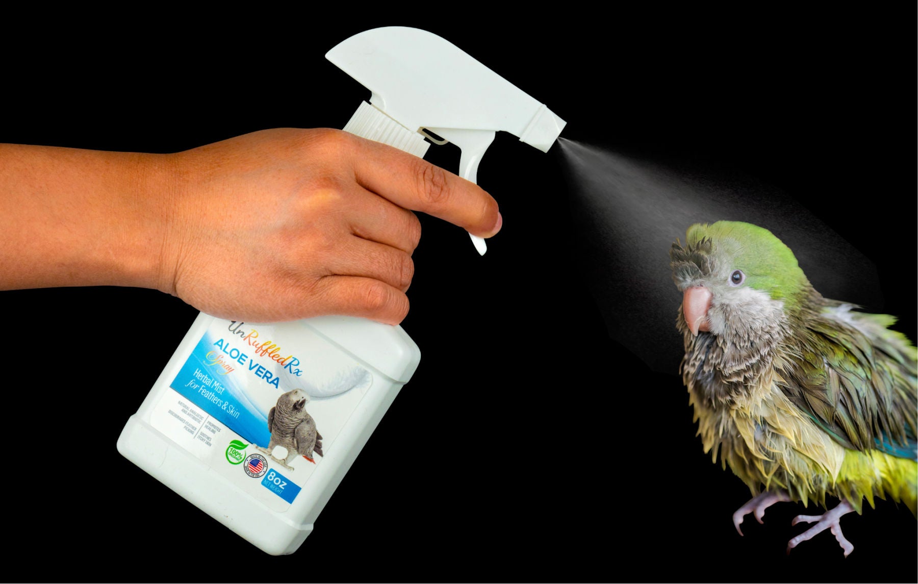 how to bathe a bird