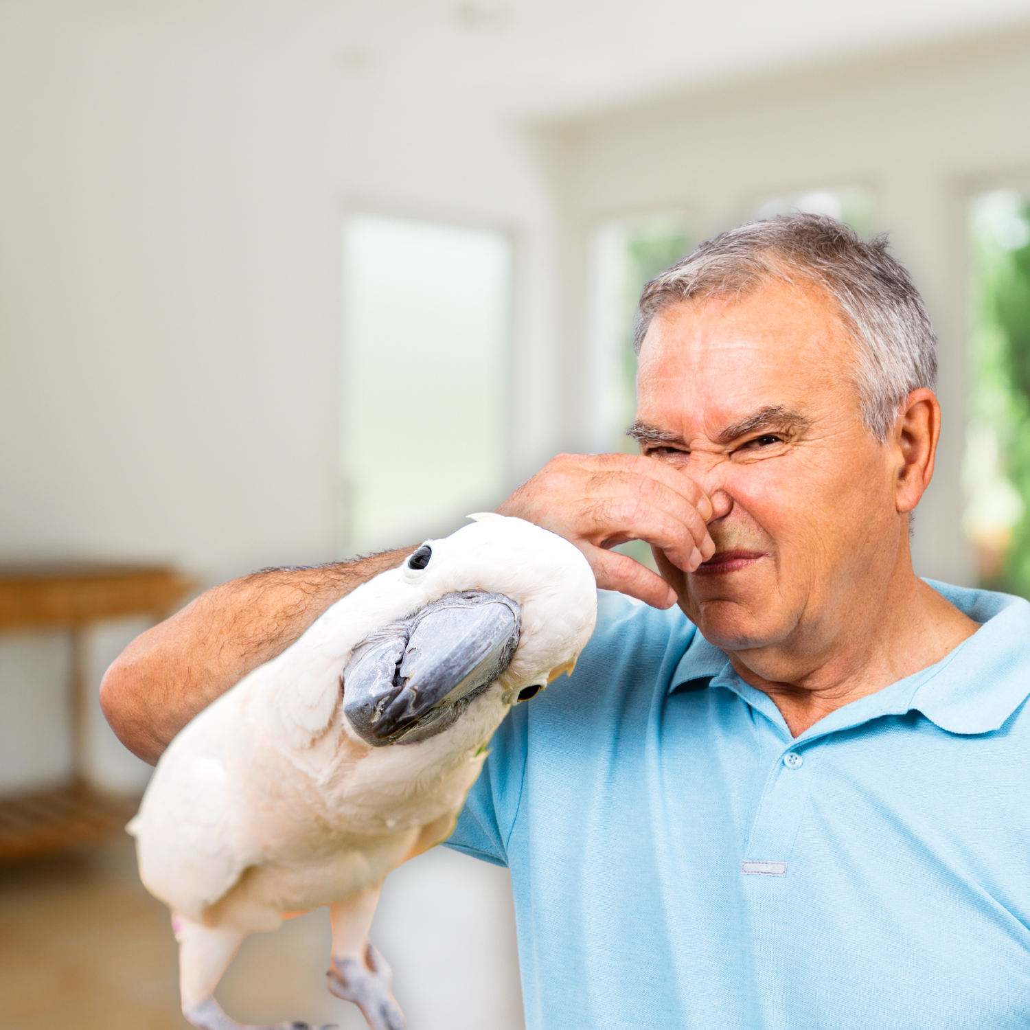 Do birds stink?
