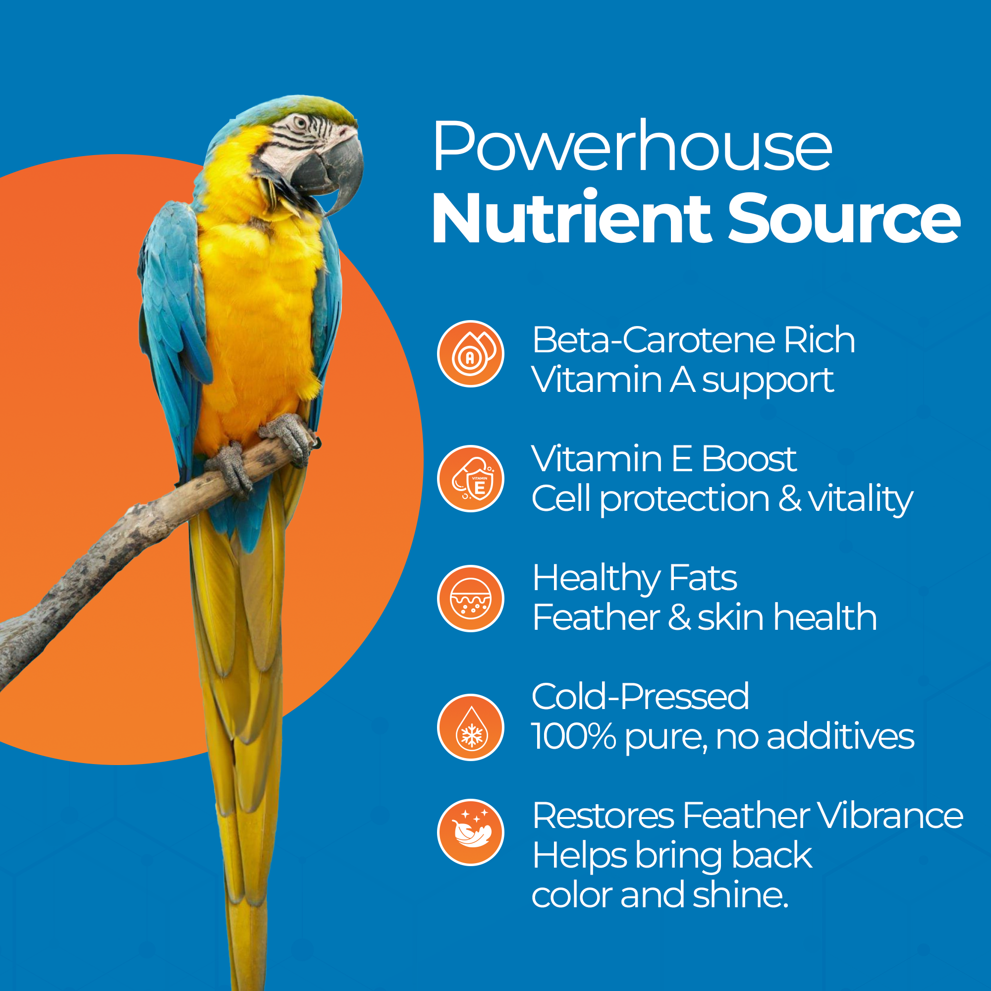 Colorful parrot with text highlighting benefits of red palm oil for birds, emphasizing nutrient richness and feather health.