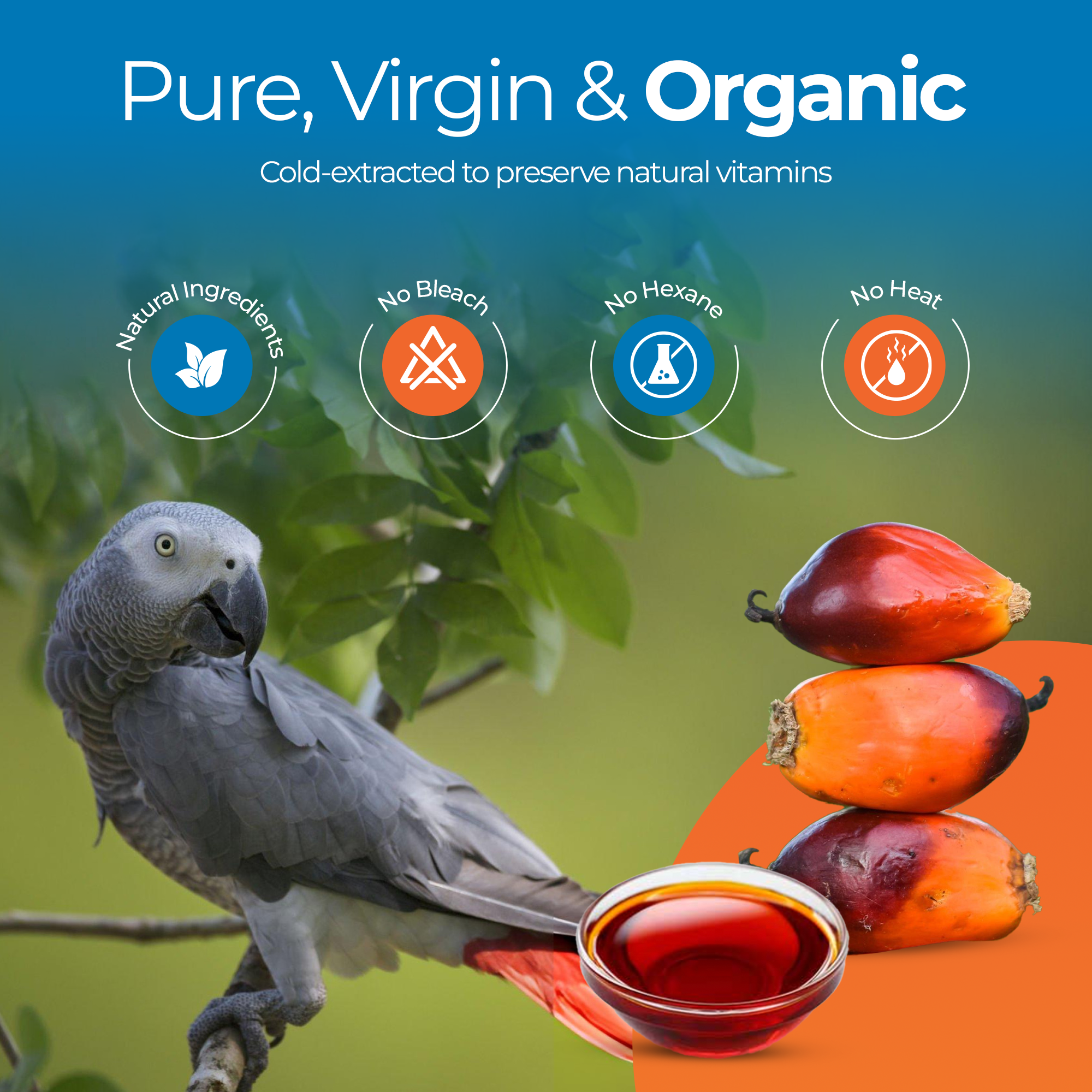 UnRuffledRx red palm oil for birds with parrot and red palm fruit highlighting organic and nutrient-rich benefits.