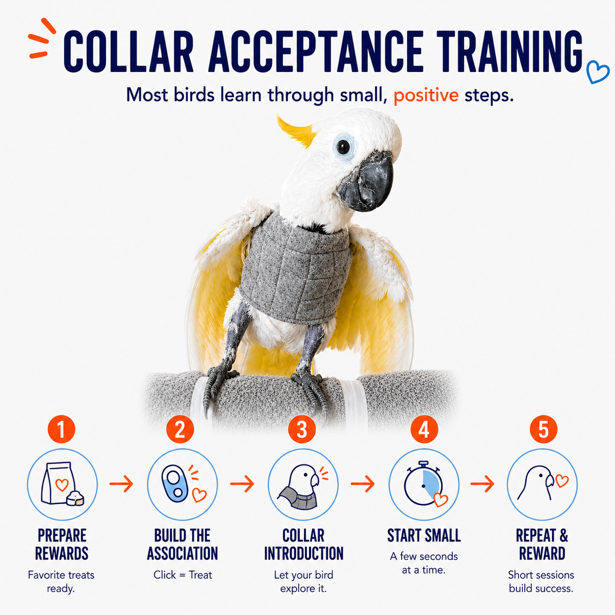 Image showing collar acceptance training in 5 steps
