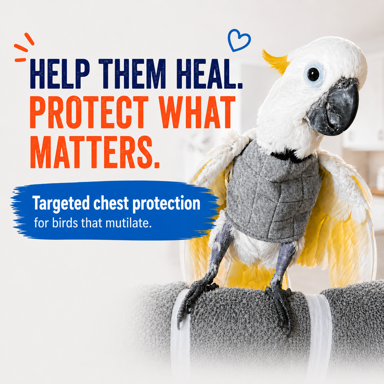 There is hope for self-mutilating cockatoos - the beakguard bird vest