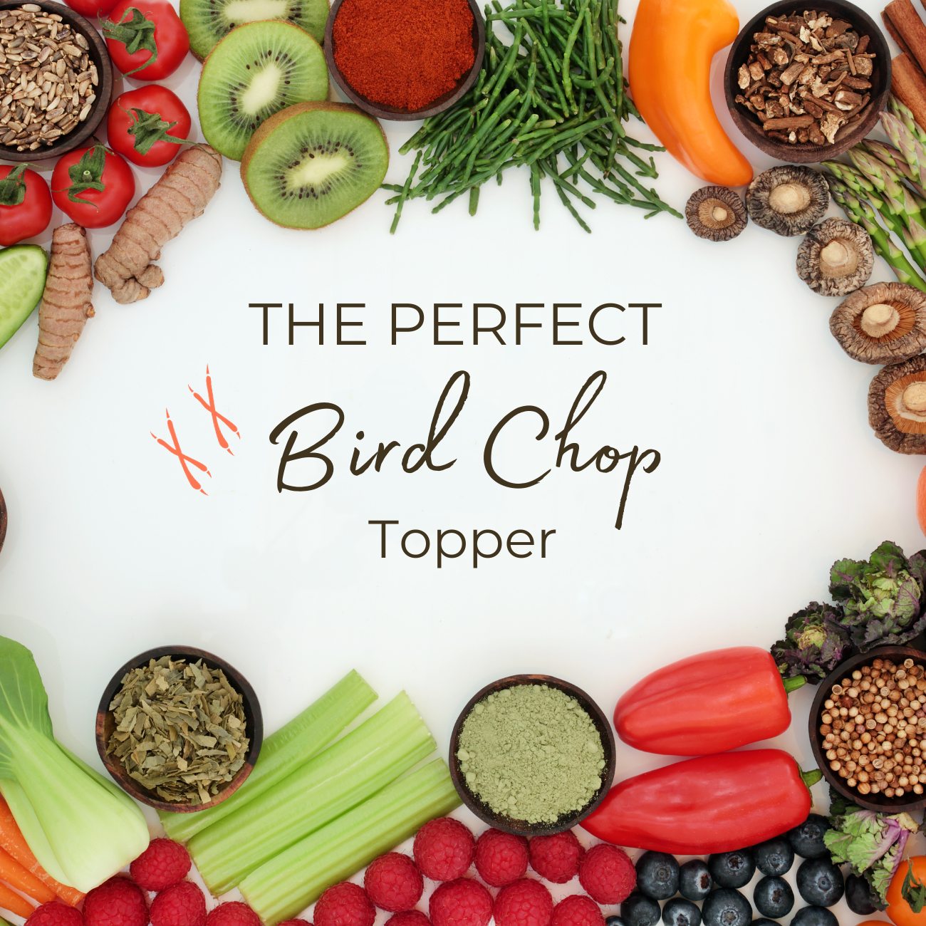 Healthy ingredients for bird chop with vegetables and fruits forming a border around 'The Perfect Bird Chop Topper' text.