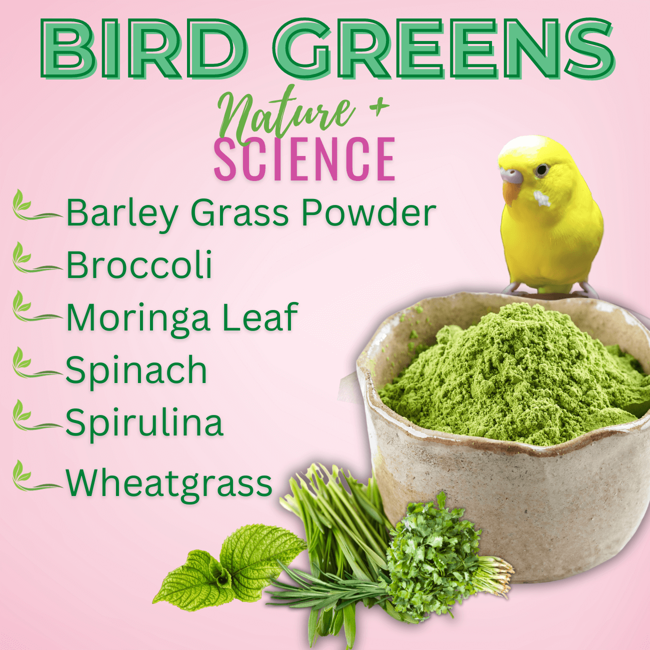 Bird Chop Topper – Organic Supergreens Blend for Parrot Health & Digestion