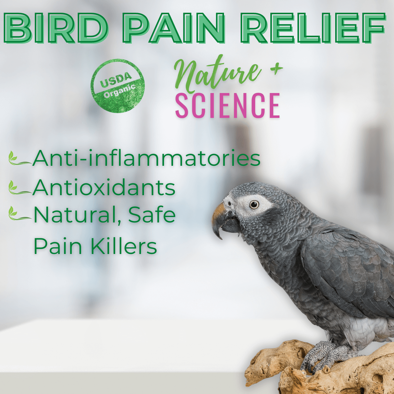 UnRuffledRx Bird Joint Support – Bird pain support