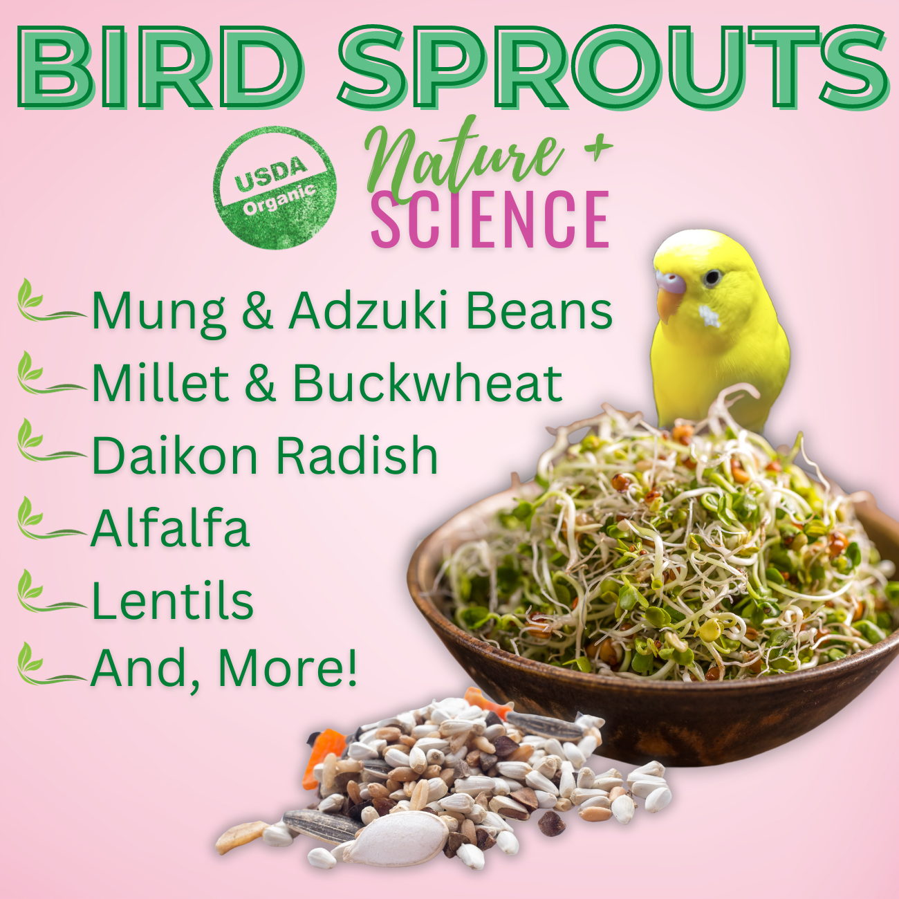Bird Sprouts