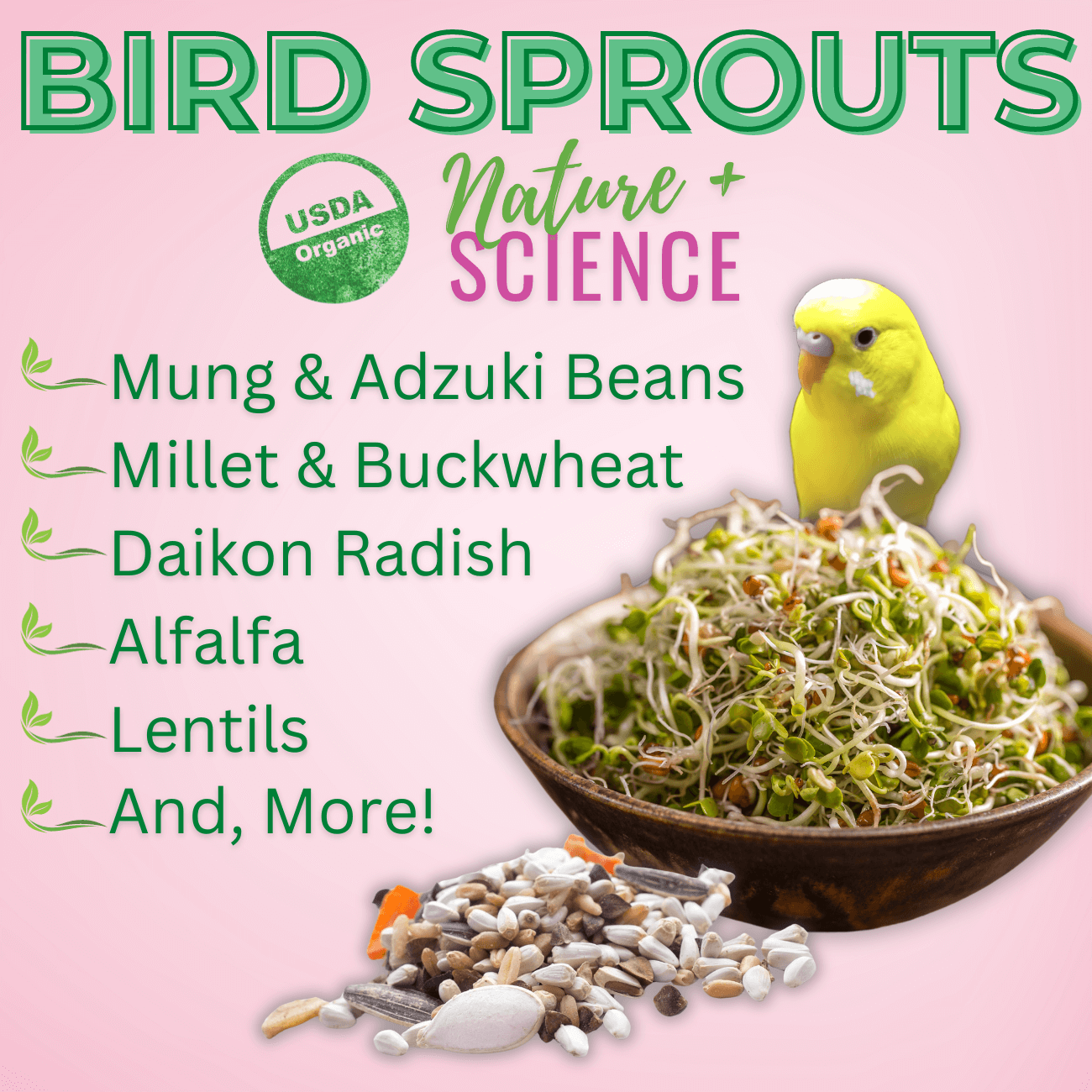 Bird Sprouting Seed Mix ā Organic 13-Seed Blend for Fresh, Nutritious Sprouts