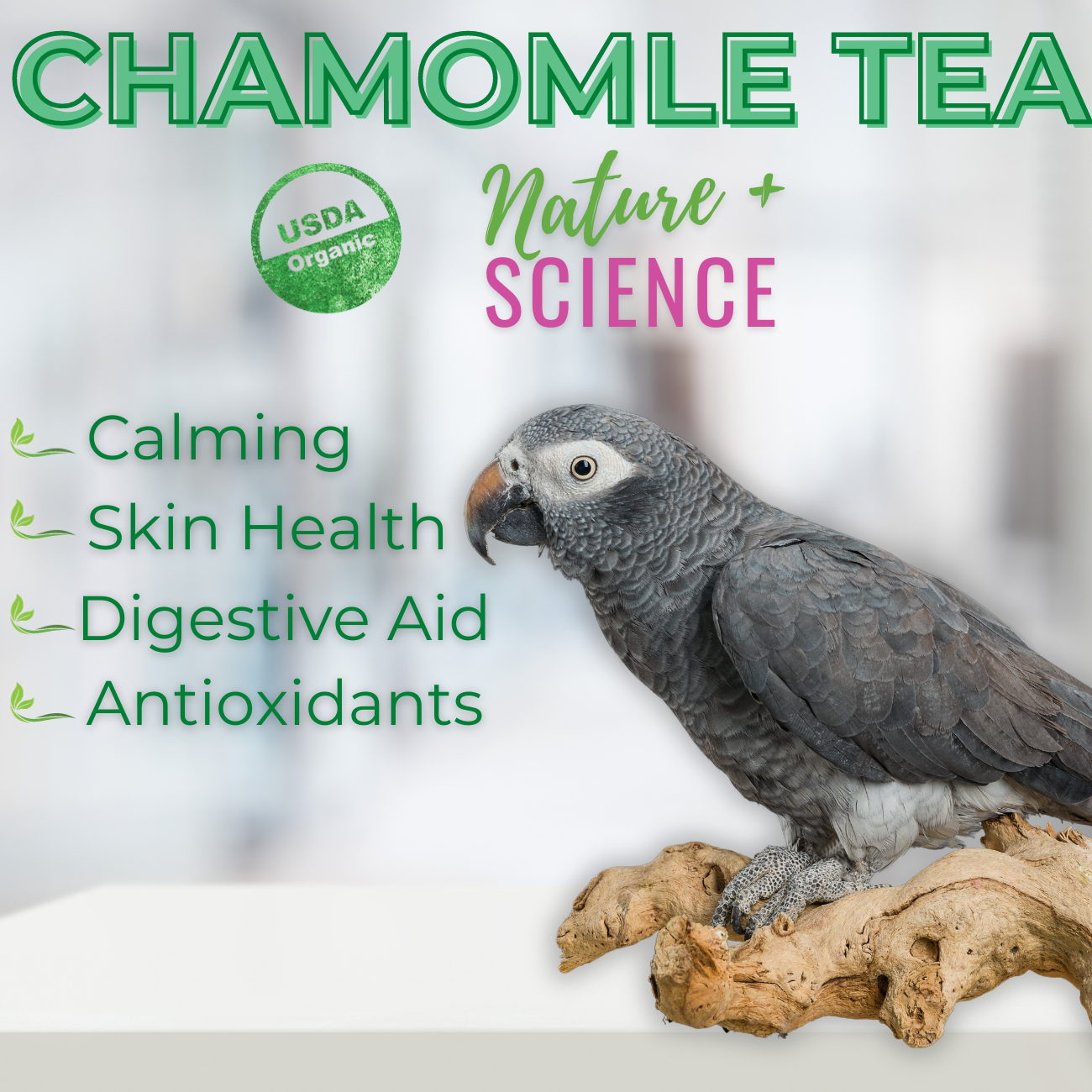Chamomile Tea for Parrots