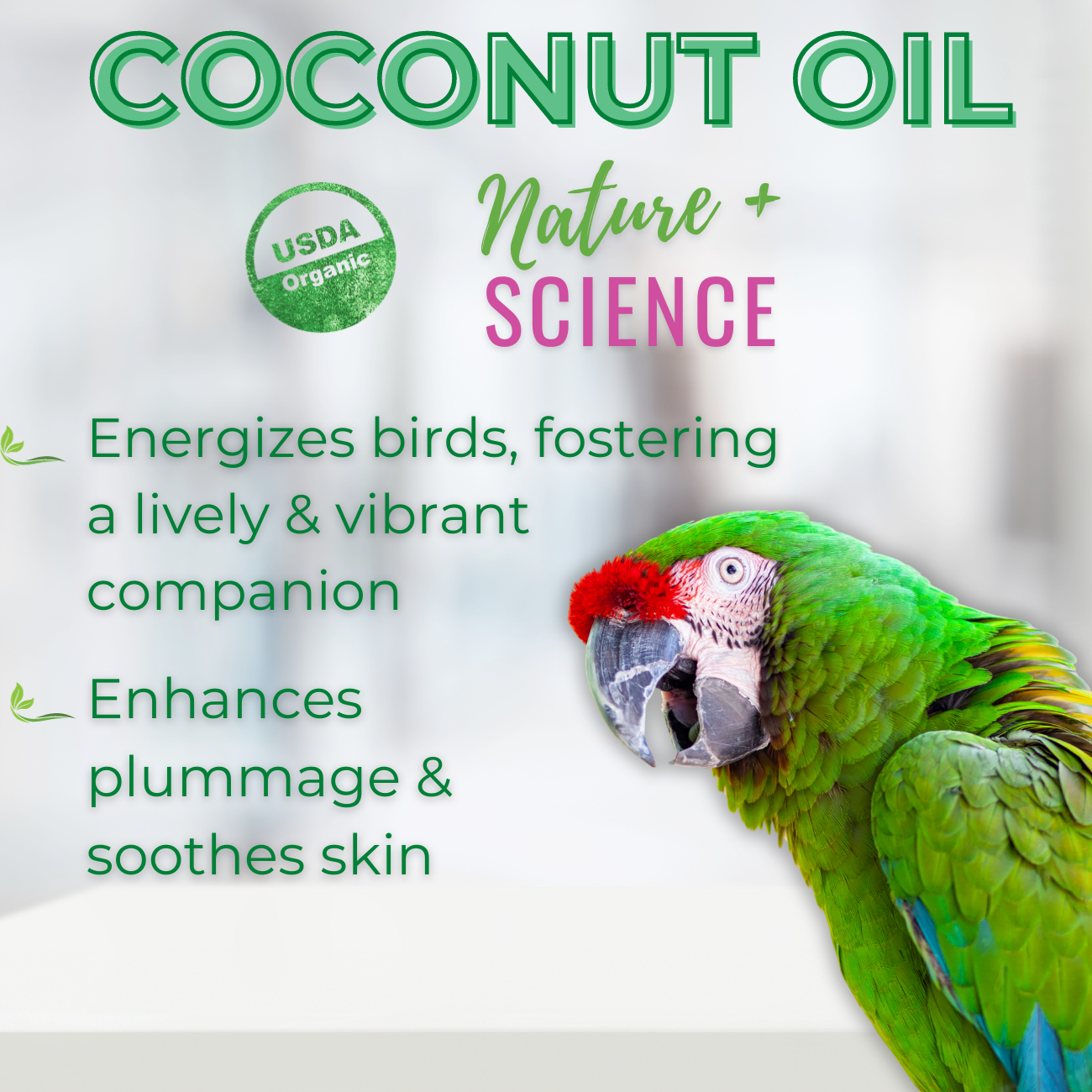 Coconut oil for parrots