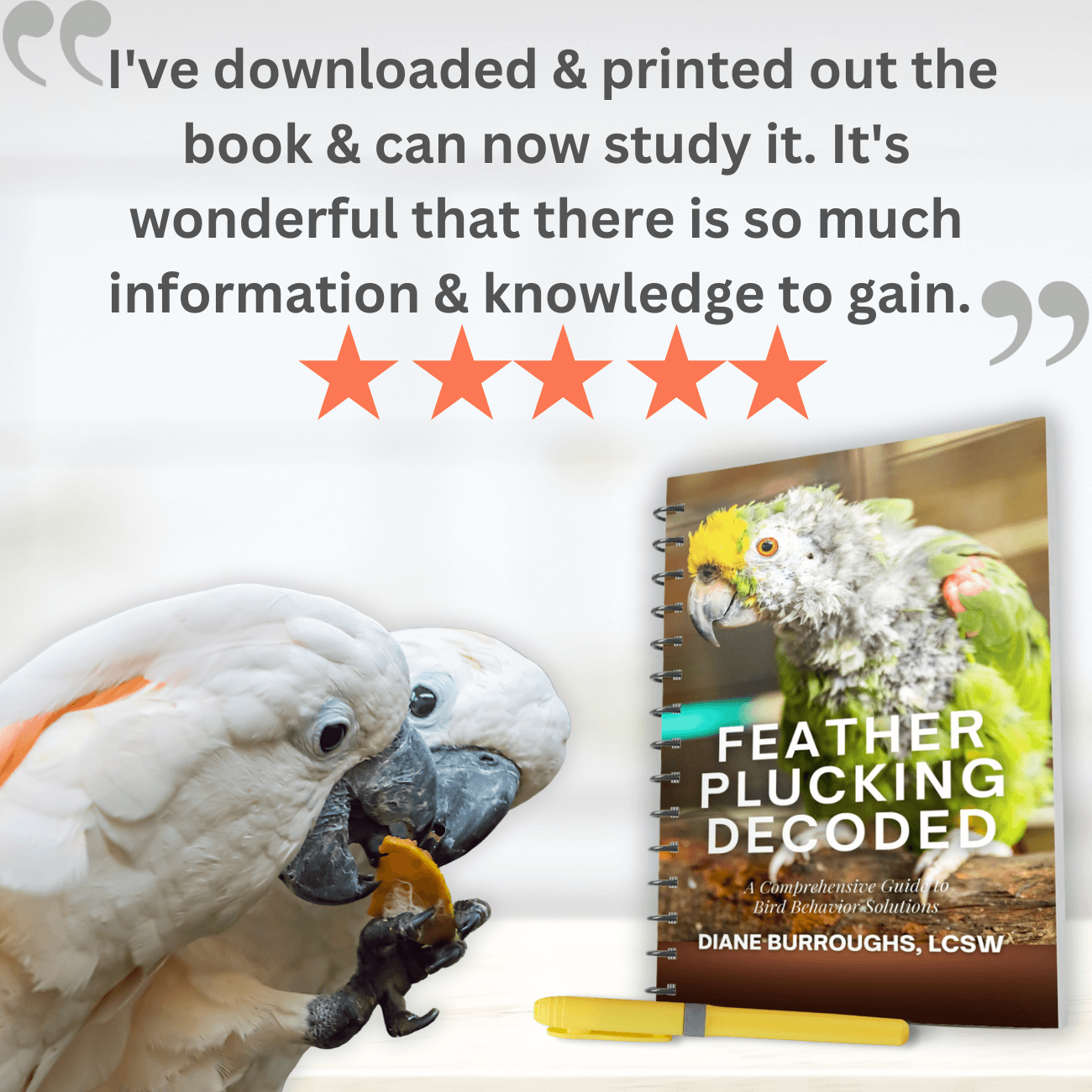 Feather Plucking Decoded Workbook