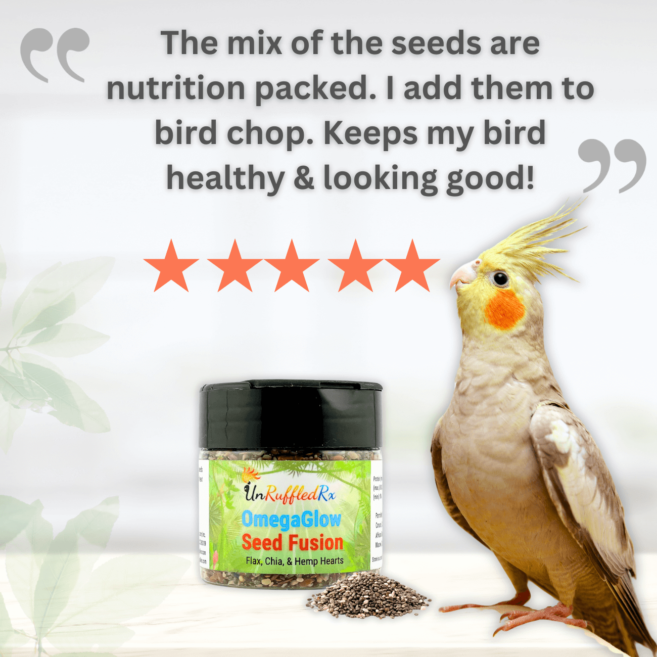 OmegaGlow Seed Fusion – Natural Parrot Superfood for Vibrant Feathers & Digestion