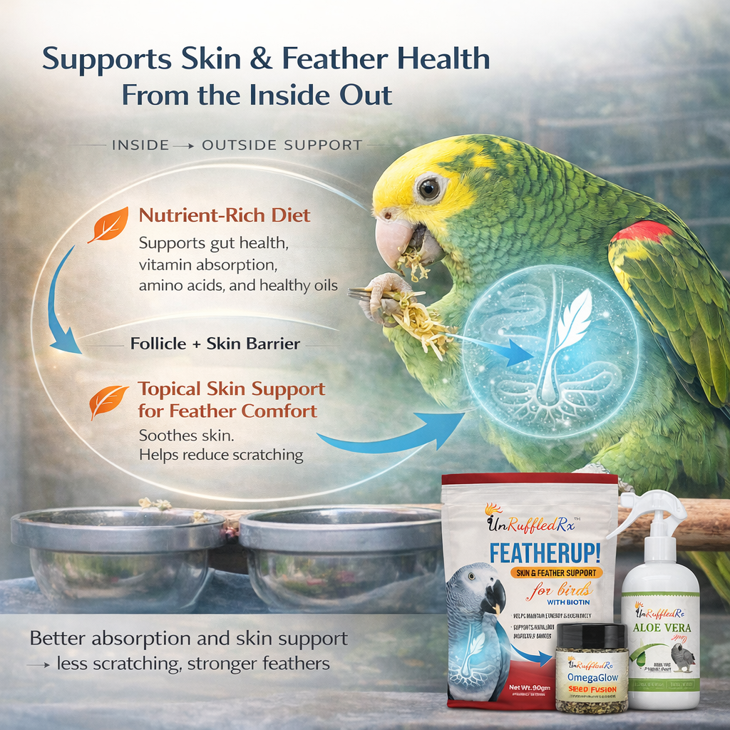 Feather & Skin Support Kit for Parrots | Molting & Plucking Help | UnRuffledRx