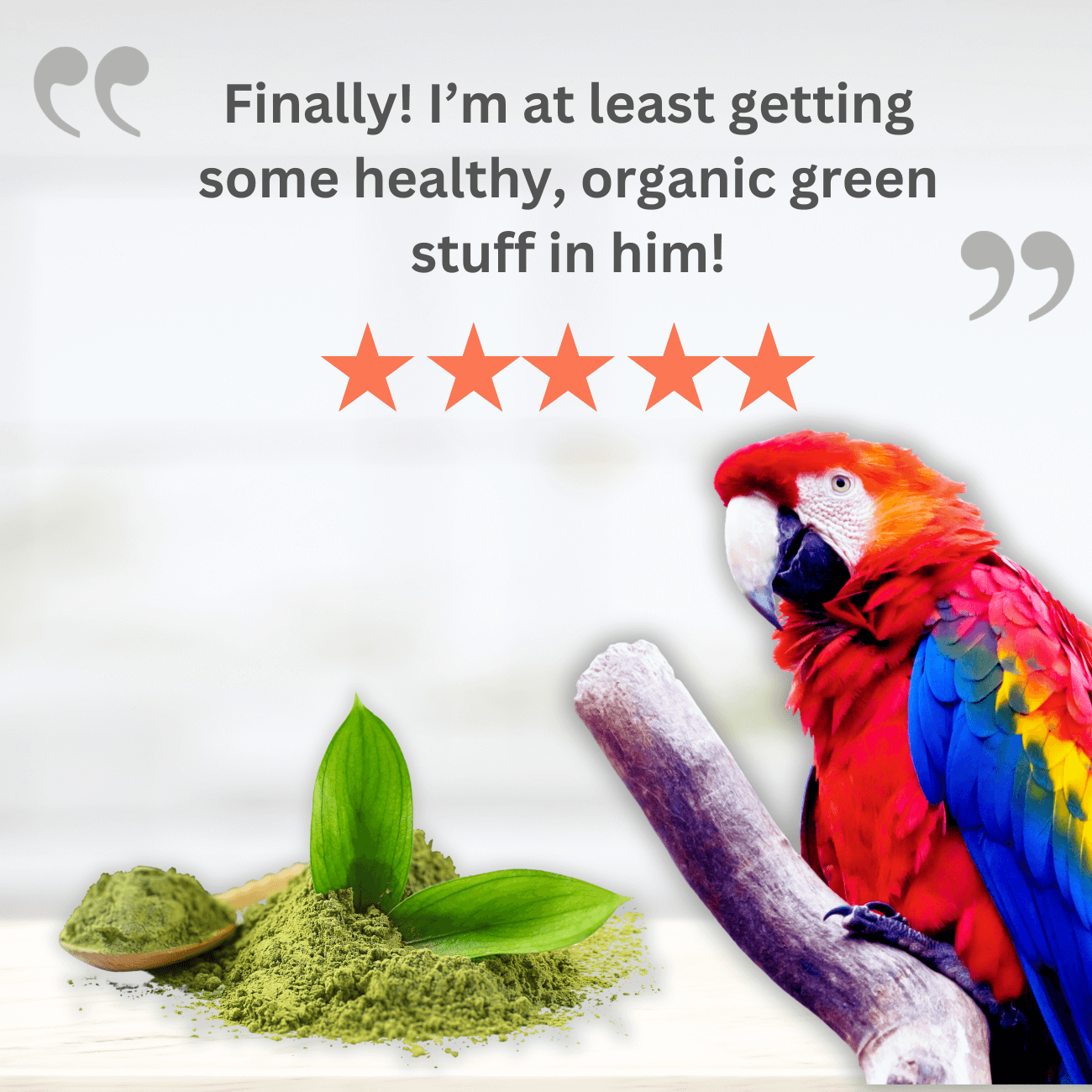 Organic Supergreens for Birds – Easy-to-Use Natural Supplement for Parrots