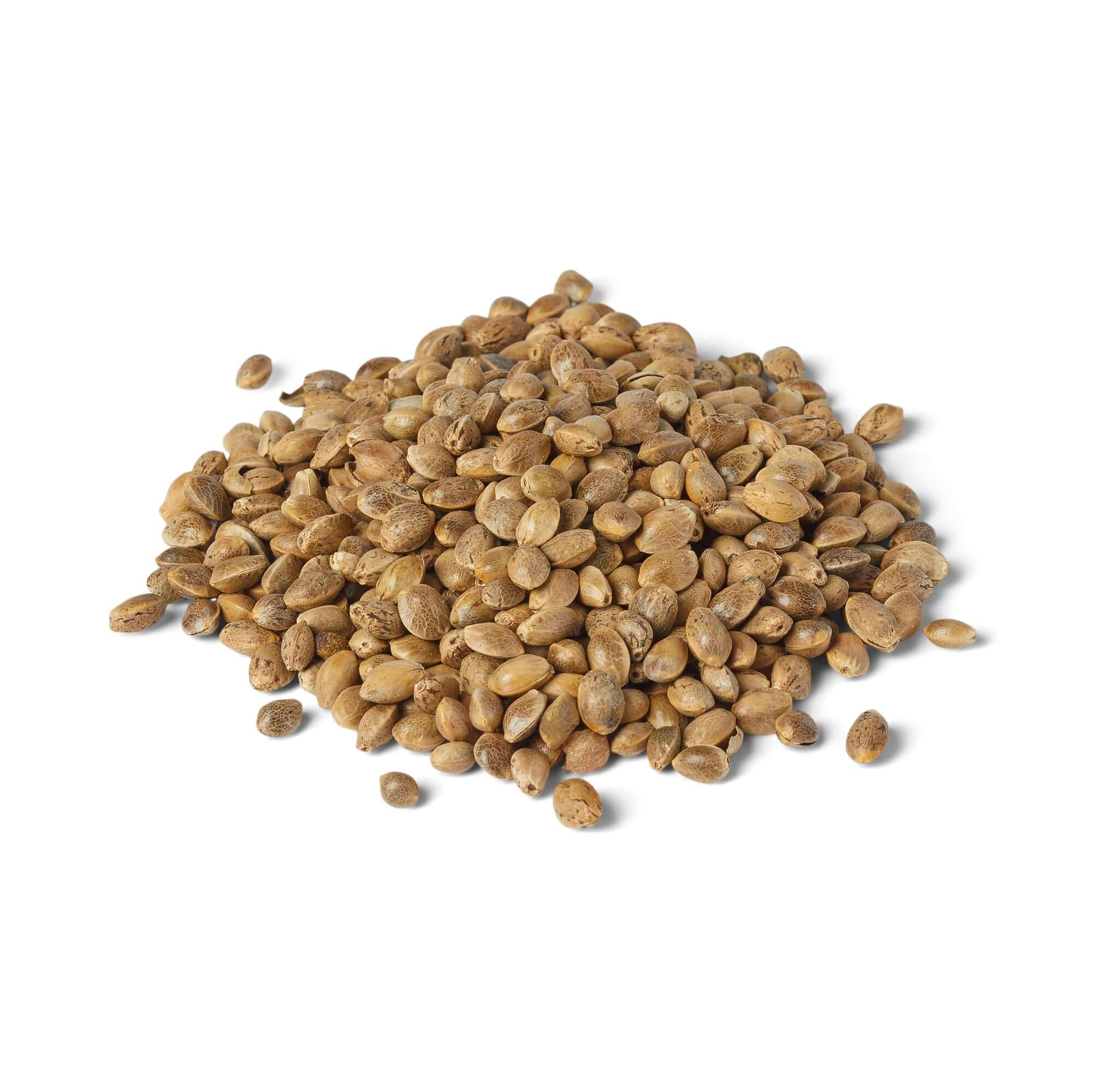 Hemp seeds for birds ā supports skin health, immune function, and digestion