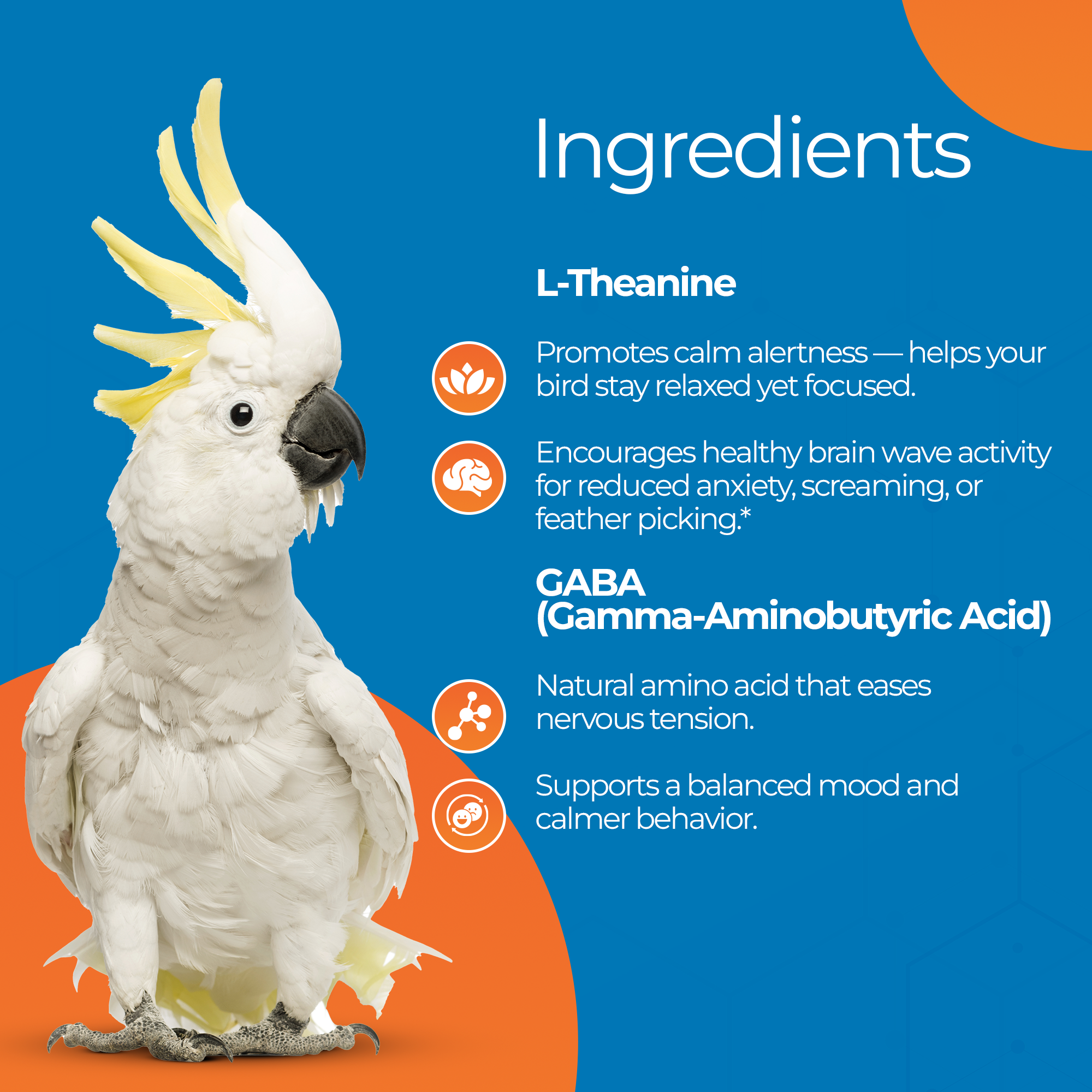 Parrot next to text describing benefits of parrot calming supplement ingredients L-Theanine and GABA.