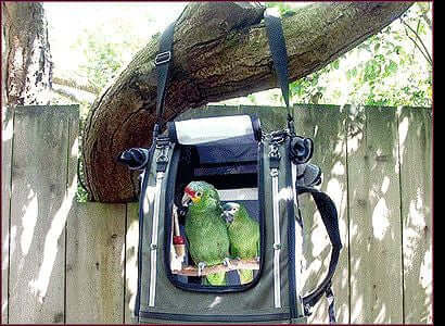 Outdoor time with a bird in a comfortable and escape-proof travel carrier