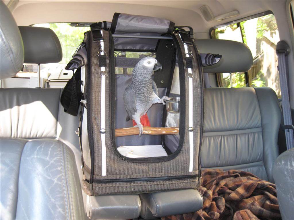 Secure and ventilated Pak-O-Bird carrier for birds on the go