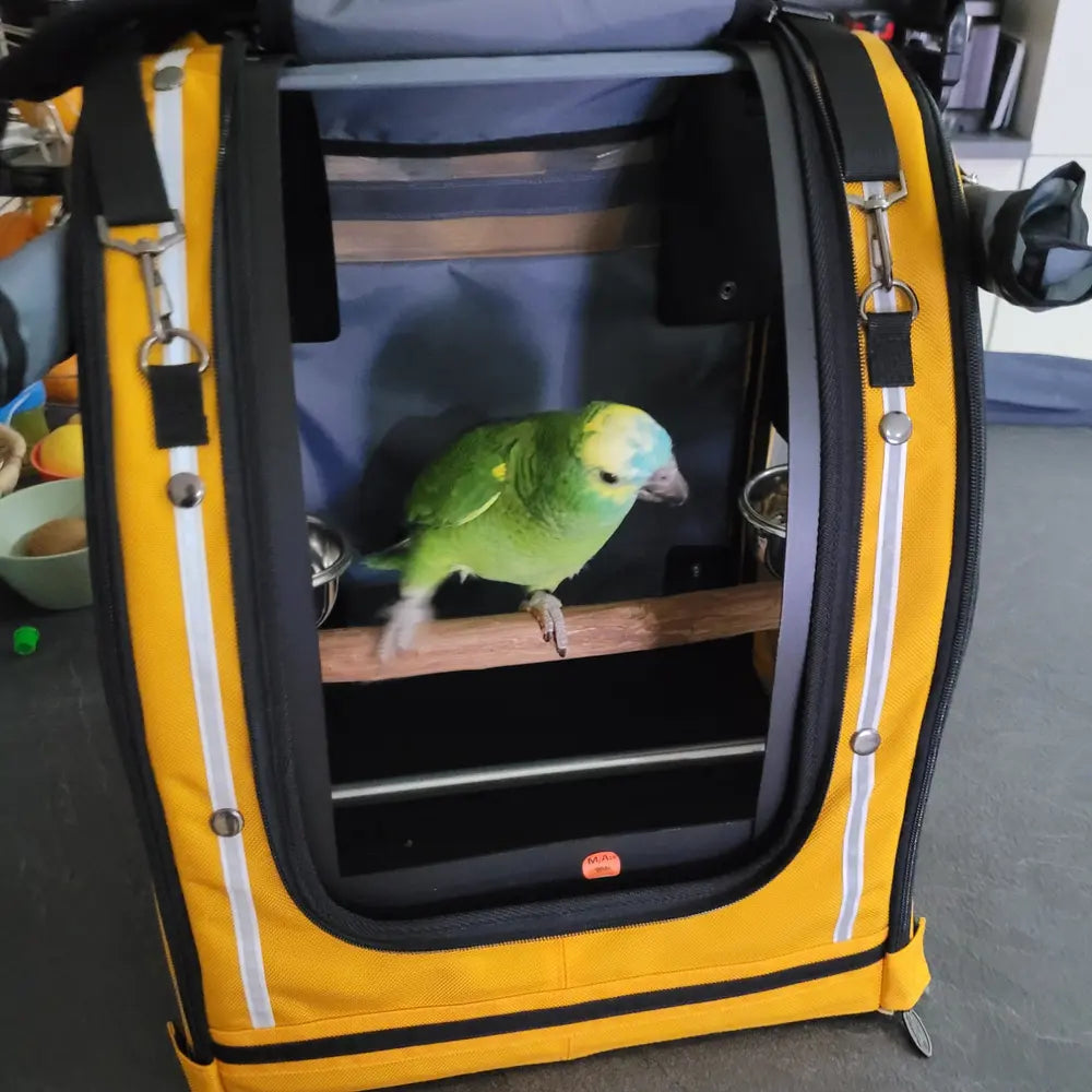 bird carrier