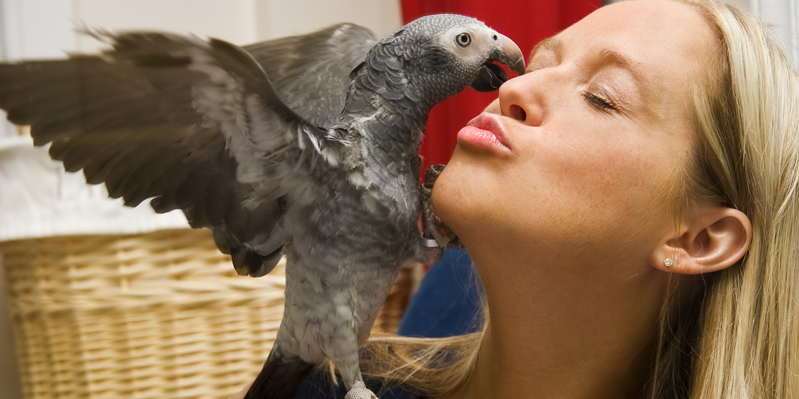 BirdSupplies.com Shipping Policy