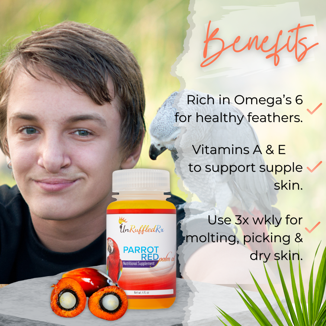 UnRuffledRx red palm oil for birds, 4 oz bottle next to parrot, highlighting Omega 6 for feathers, vitamins A & E for skin.