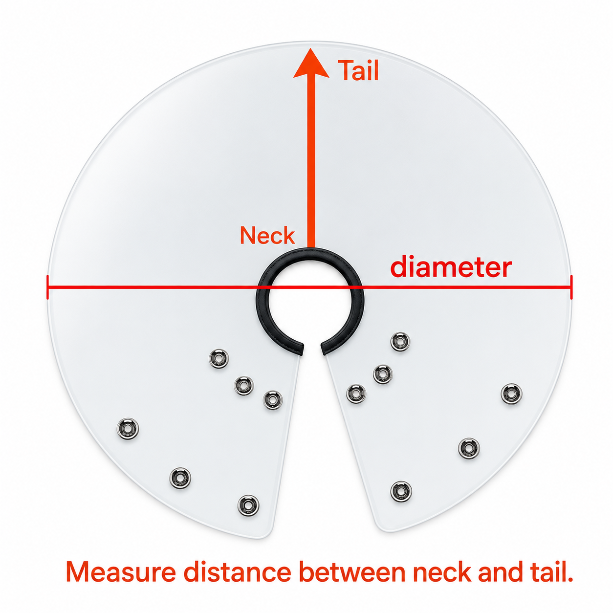 How to measure a plastic bird collar for proper fit
