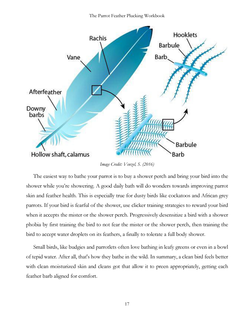 Feather Picking eBook: Bird Feather Plucking Solutions
