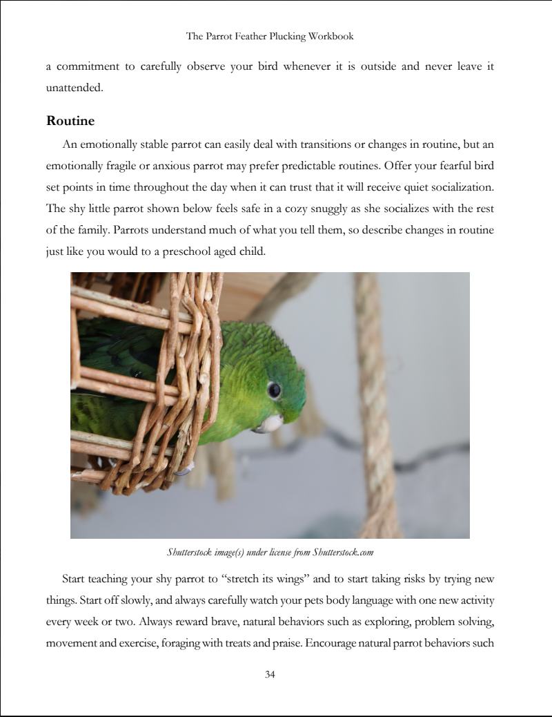 Feather Picking eBook: Bird Feather Plucking Solutions