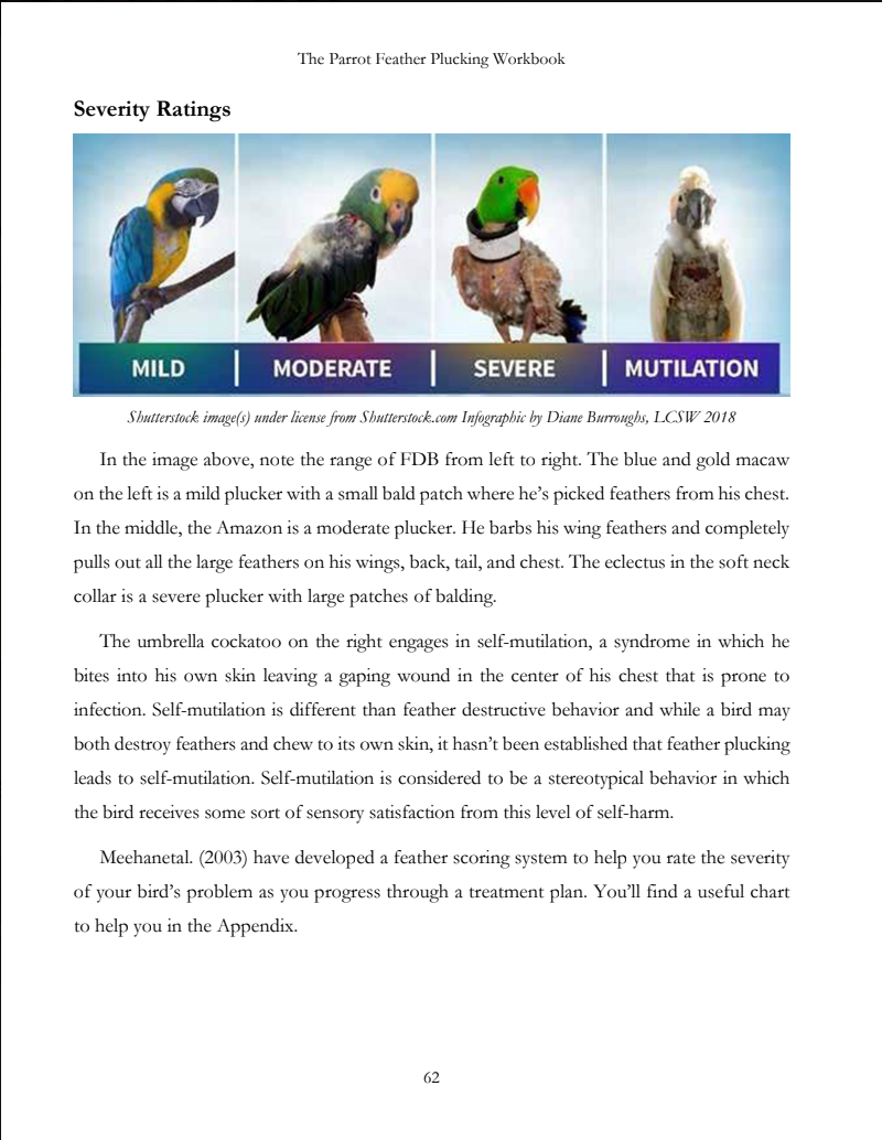 Feather Picking eBook: Bird Feather Plucking Solutions