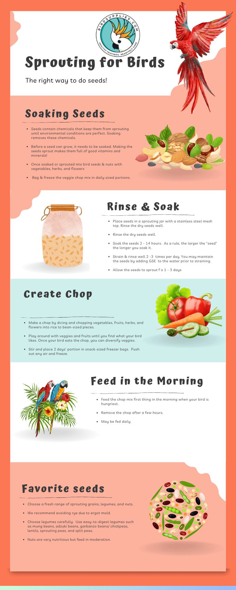 https://cdn.shopify.com/s/files/1/1111/3280/files/Sprouting_For_Birds_Infographic.png?v=1682473606