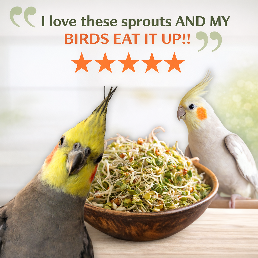 Two birds near a bowl of sprouts with text indicating satisfaction.