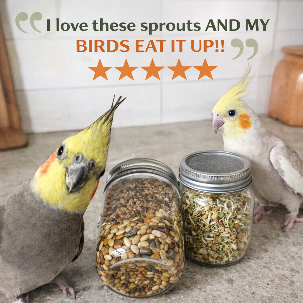 Two birds standing next to jars of birdseed with a positive review text overlay.