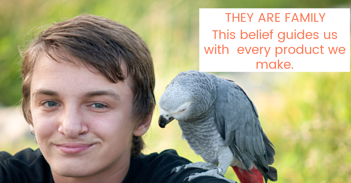 Bird's are like famly