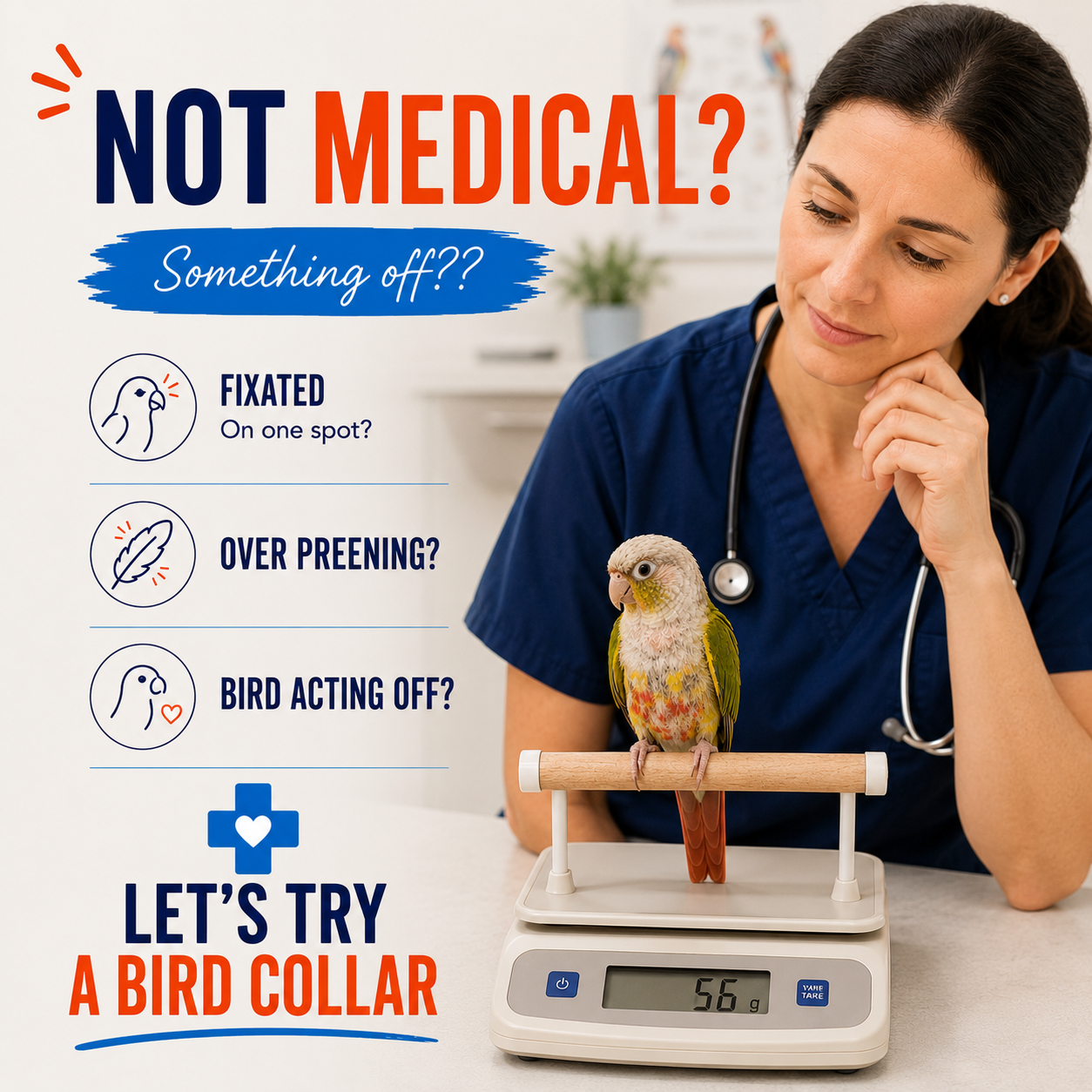 An avian veterinarian suggesting a bird collar for feather plucking