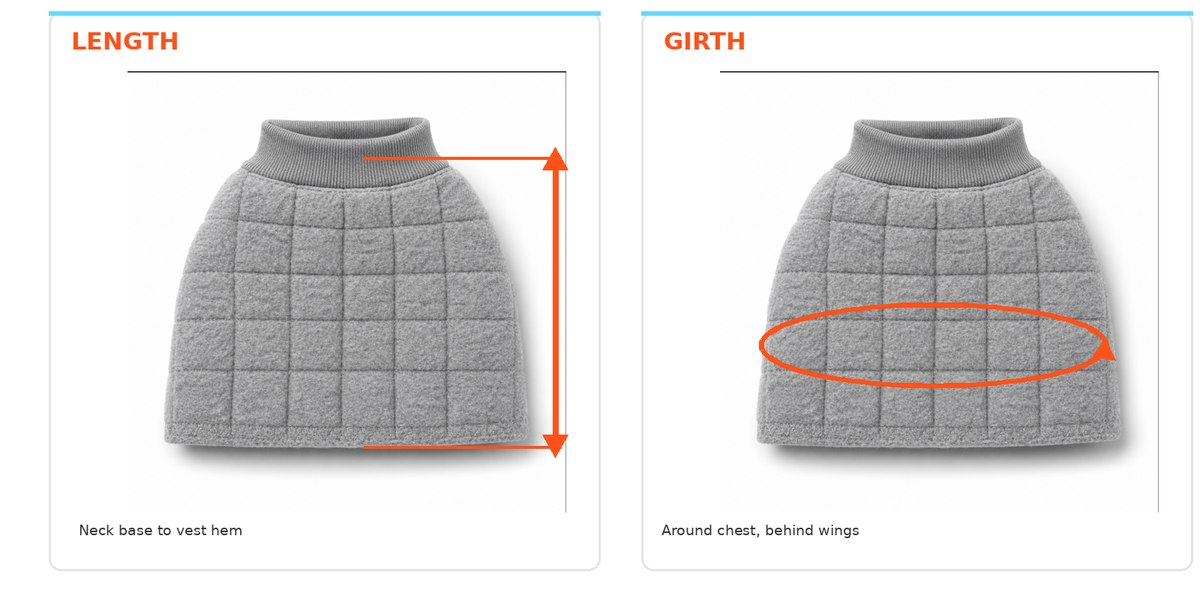BeakGuard Protective Bird Vest for Chest Chewers