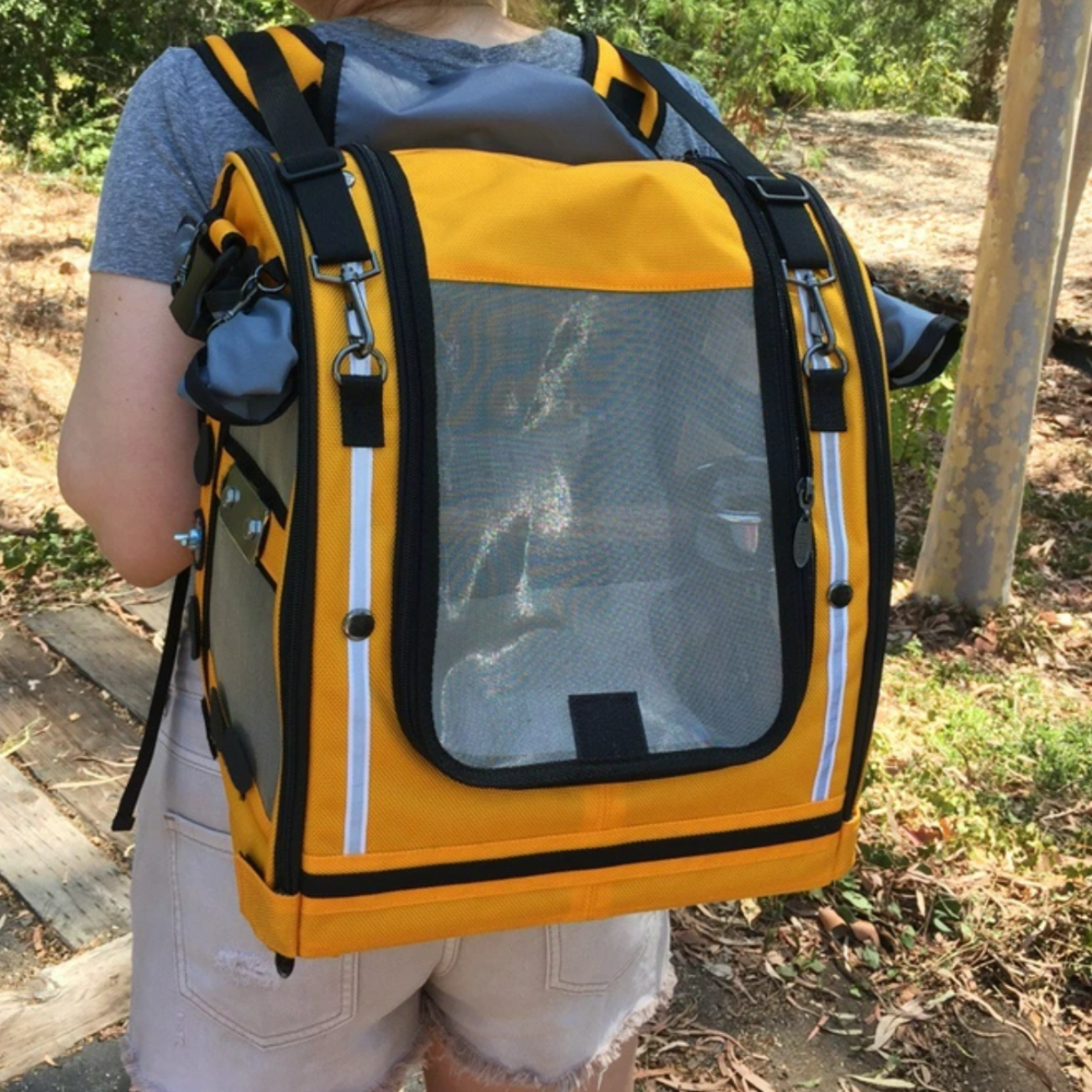 bird backpack