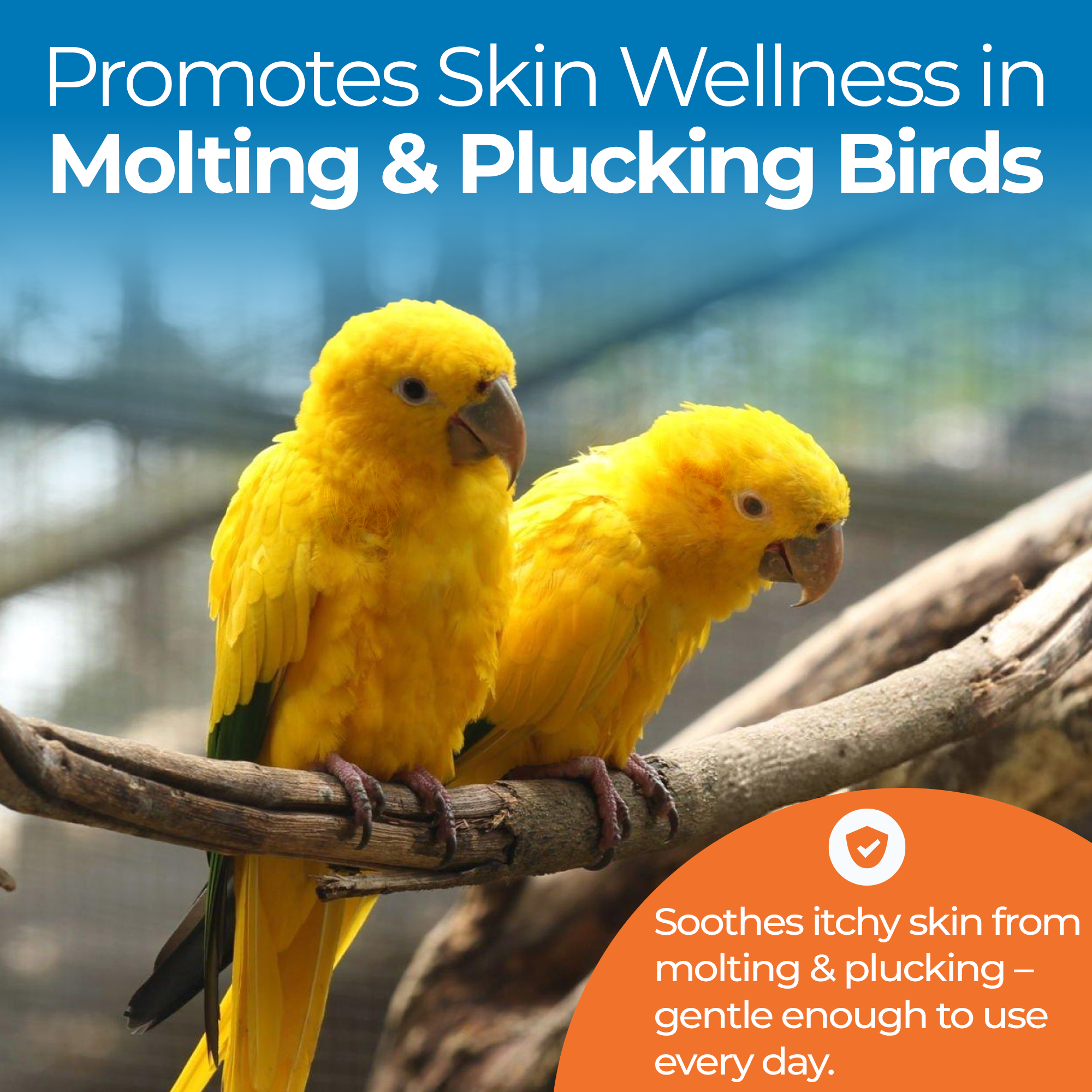 Two yellow birds perched on branch, promoting UnRuffledRx Aloe Vera Bird Spray for molting and plucking relief.