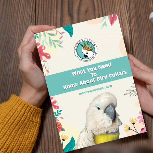 Person holding a book titled 'What You Need to Know About Bird Collars' with a white bird on the cover, related to Bird Self Mutilation Combo.