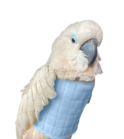 BeakGuard reinforced bird vest – heavy-duty protection for self-mutilating birds