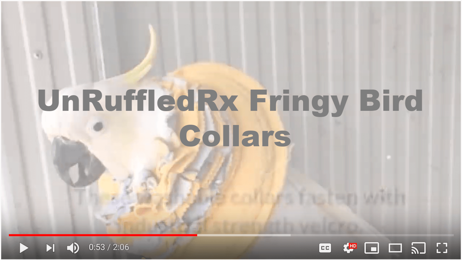 <iframe width="560" height="315" src="https://www.youtube.com/embed/x0b5Tnvri6M" frameborder="0" allow="accelerometer; autoplay; encrypted-media; gyroscope; picture-in-picture" allowfullscreen></iframe>