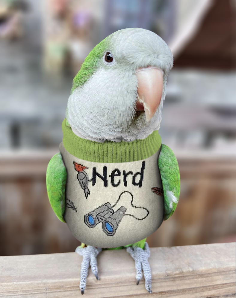 DIY bird vest sewing pattern – gentle protection for parrots and pet birds