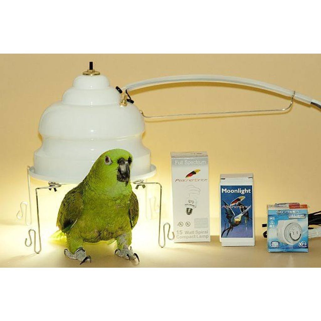 bird light with electric cord protection