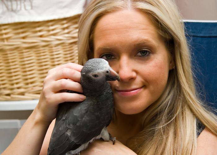 Discover The Optimal African Grey Diet And Help Your Bird Thrive!