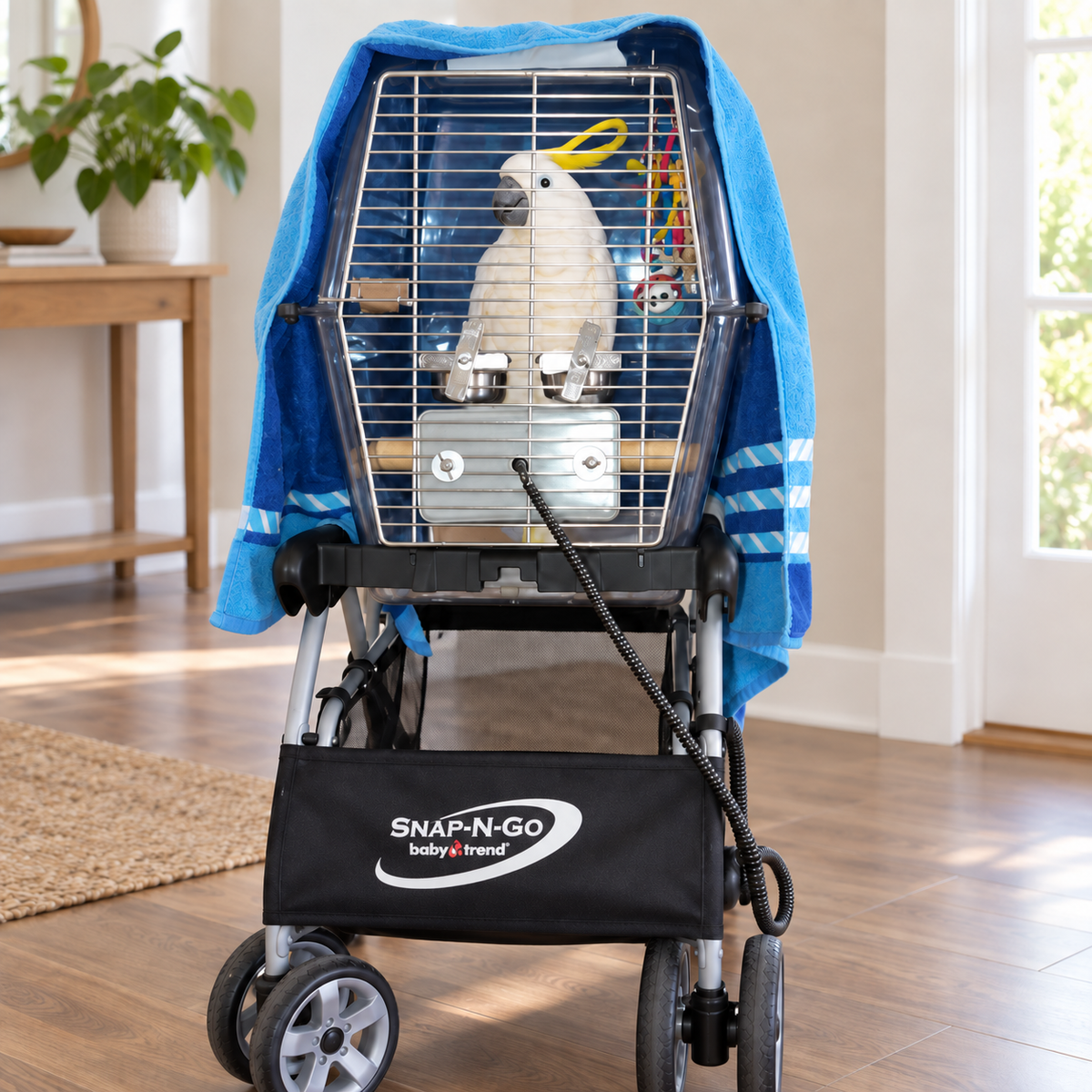Moluccan cockatoo resting in a clear Wingabago bird carrier on a Snap-N-Go stroller with a cage heater attached to the wire door