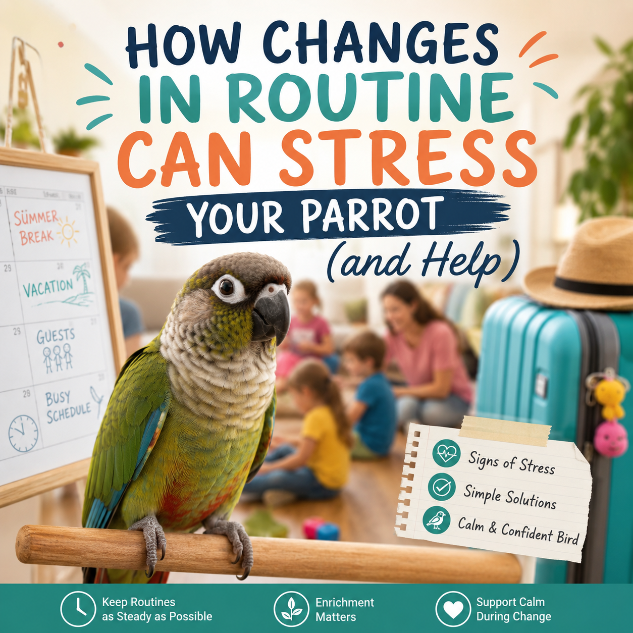 Parrot reacting to summer schedule changes, vacations, and holiday visitors that can cause routine stress in pet birds.