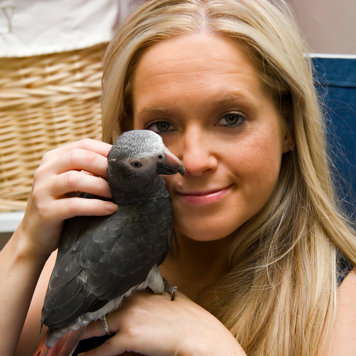 Girl holding an African Grey parrot – building trust and bonding with your bird