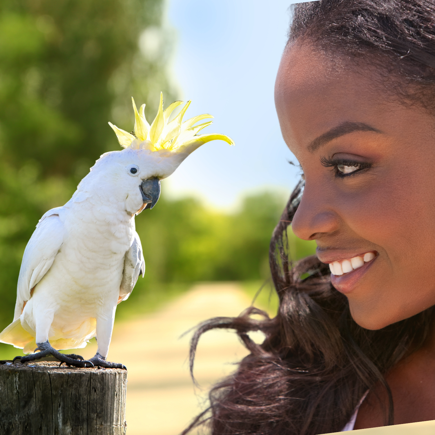 woman with cockatoo