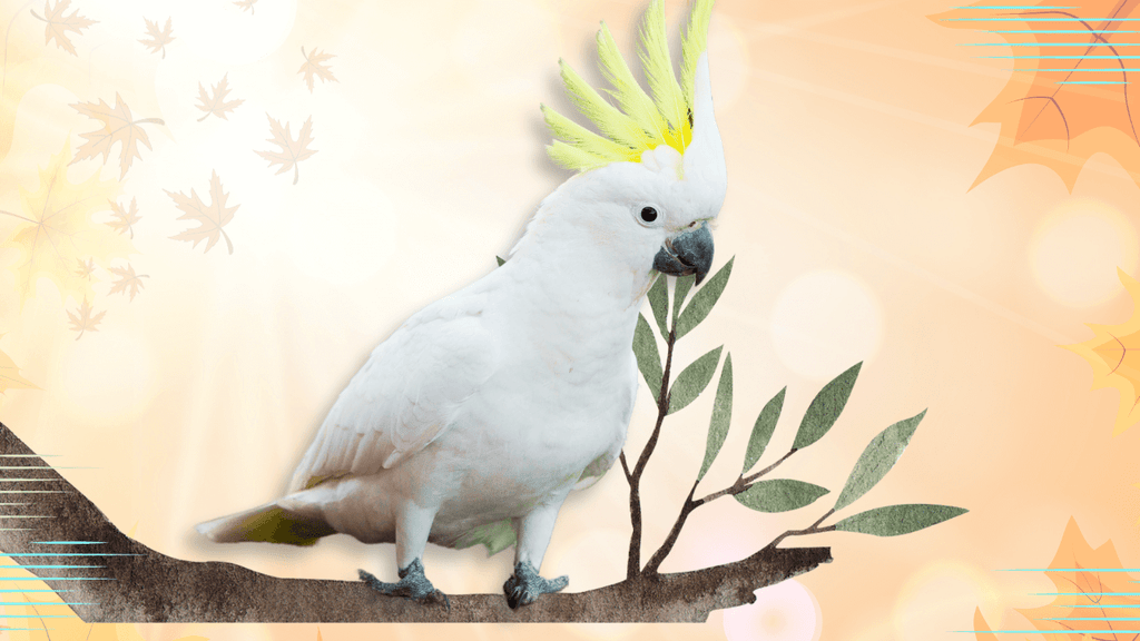 What Outdoor Temperatures is Warm Enough for Exotic Birds: Essential Guide