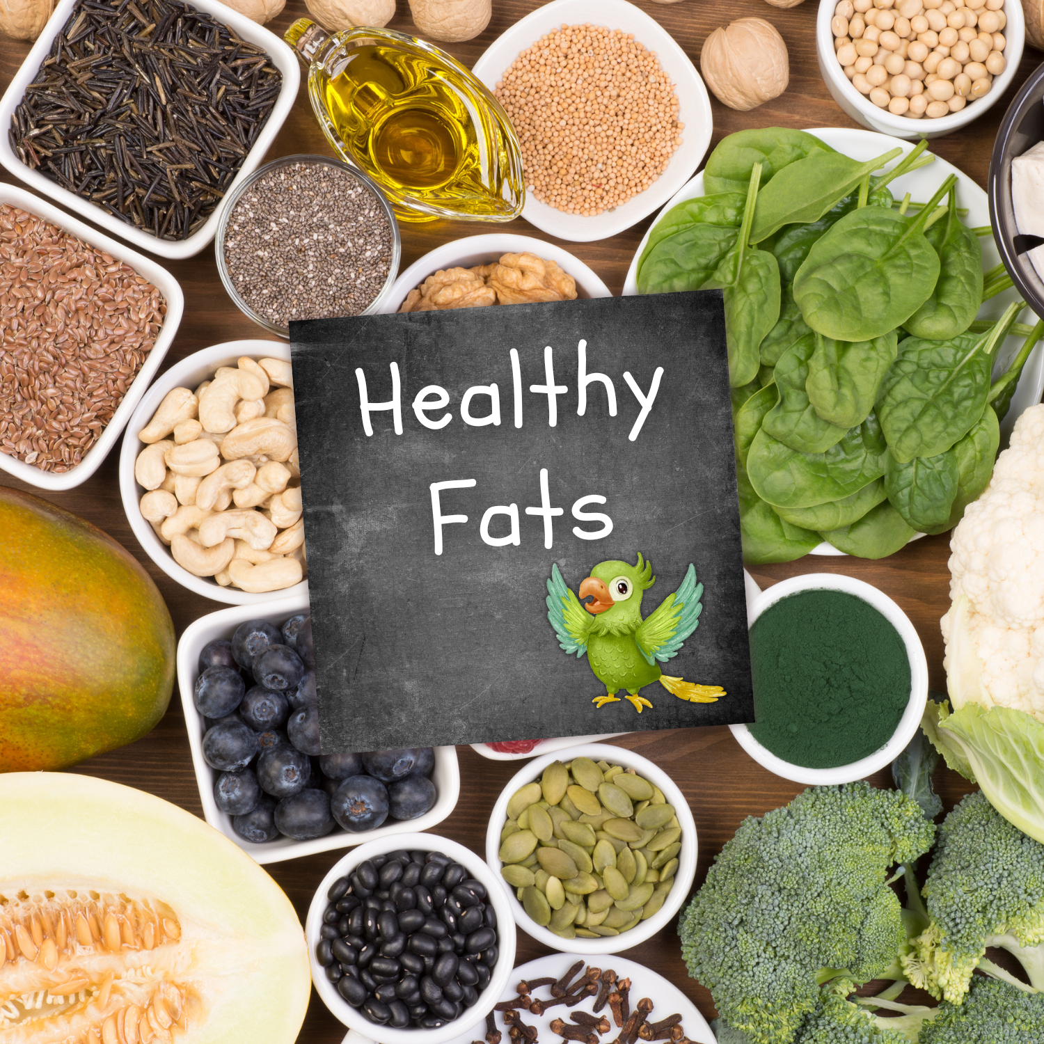 Healthy Bird Food Fats