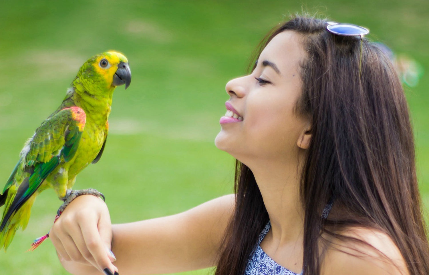 benefits of sunlight for birds