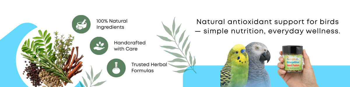Natural antioxidant support for birds